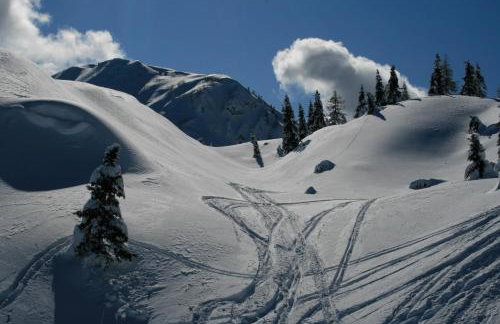 Zoncolan Apartments - Photo 19