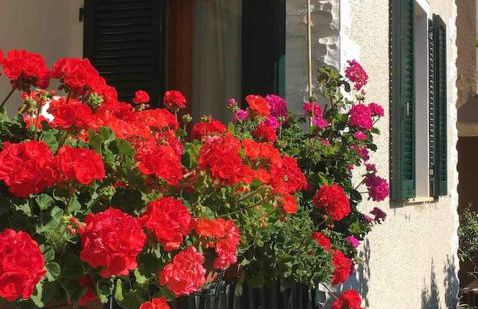 Casa Lucietta, 30 mt dal mare e posto auto privato - Foto 7