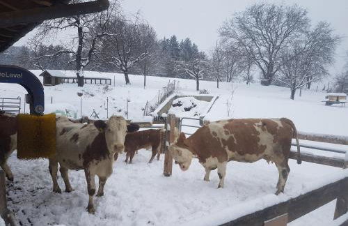 Gästehaus Annemarie - Foto 20