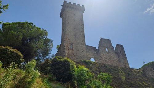 La Maestà di Alice - Foto 4