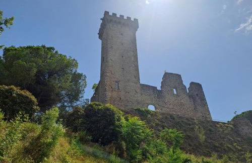 La Maestà di Alice - Foto 4