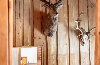 Chata Nad Jeziorem Czorsztyńskim Jaquzzi zewnętrzne Linia brzegowa Kameralne miejsce bez sąsiadów - Foto 9