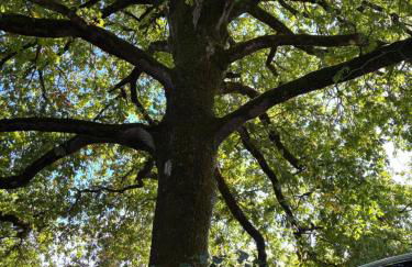 Clos Saint Jean - Foto 52