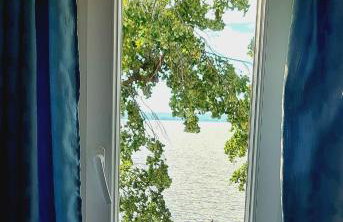 Exklusive Ferienwohnung Strohberg - Photo 62