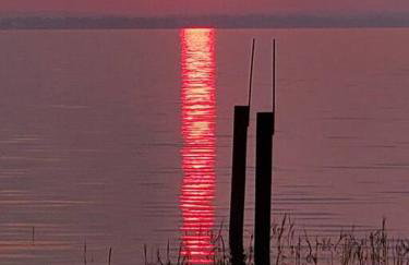 Camp St. Cabanas Unit 2 on Lake Dora - Photo 23