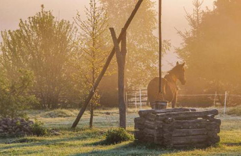 Three-Bedroom Holiday Home In Milakowo - Foto 36