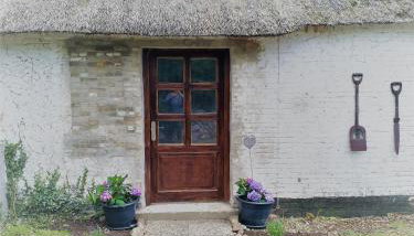 Ferienwohnungen im Reetdachhaus - Foto 3