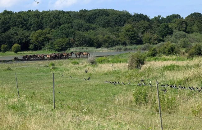 Family Cottage for Eight Guests - Foto 14