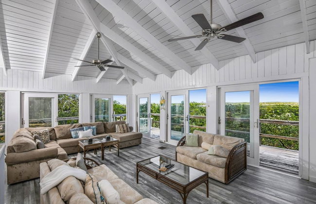 Palmetto Palms - Foto 1