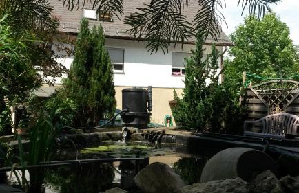 Ferien im Haus am Waldrand - Foto 17