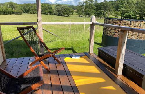 1 Bed in Llanfihangel-y-Creuddyn oc-c34624 - Foto 15