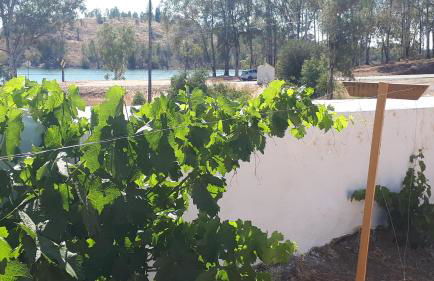 Palacete Dos Alcaides - Foto 80