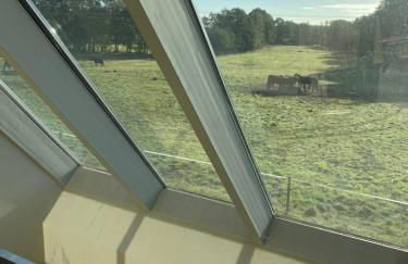 Artlandscheune 1719 - Foto 11