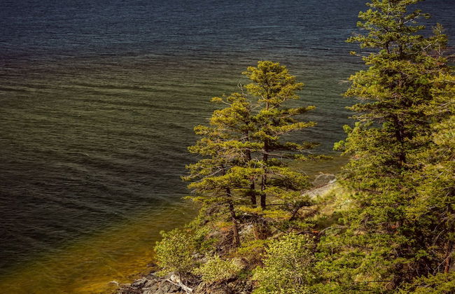 Château Okanagan - Foto 46