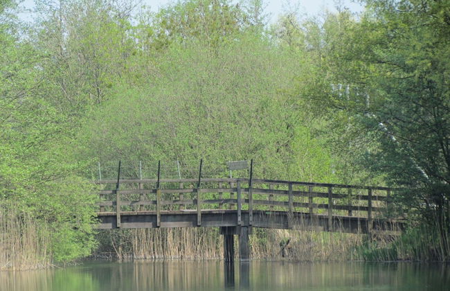 Holiday Home in Nijmegen With Garden Terrace - Foto 29