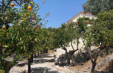 Cortijo Chupito - Foto 12