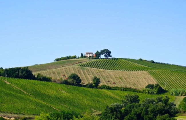 Cypressa Modern Retreat - Foto 26