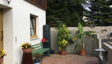 Zum Stadtwald - Foto 5