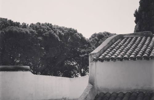 Le Mas des Figuiers - Foto 21