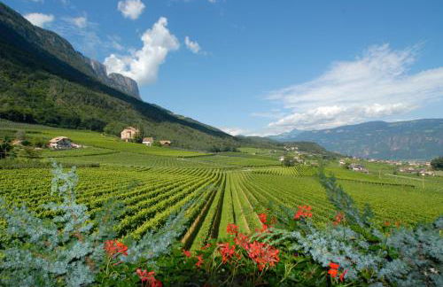 DAS MATSCHER Residence & Garden Hotel - Foto 42