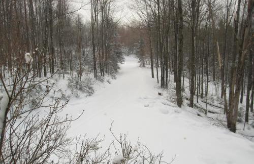 Bill's Place In Vermont - Foto 64