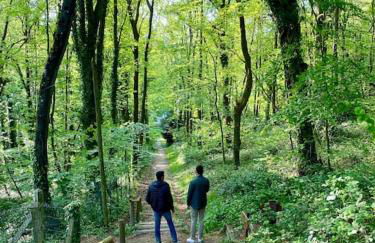 LA FEUILLÉE, Charmante Maison au Bois de Cise - Foto 9