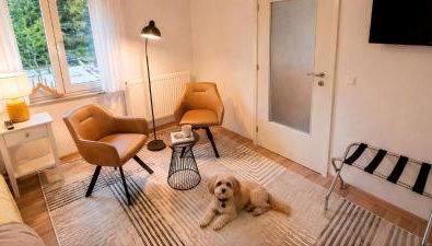 Komfortable Ferienwohnung mit Sauna, Parkplatz & Top Lage in Bad Muskau - Foto 4