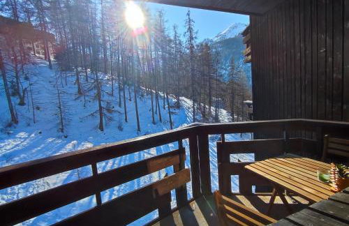 Le Petit Aupillon - L'Aupillon des Forêts - 2 studios cocooning aux Orres - Photo 40