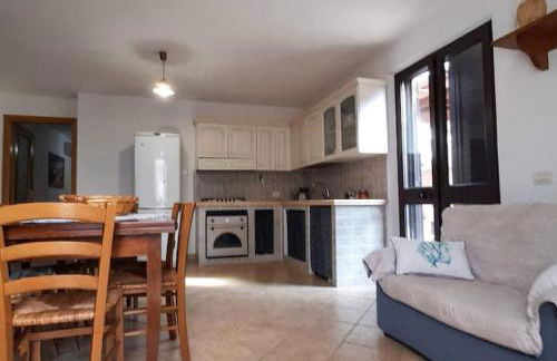 Il rosmarino - Foto 14