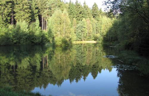 Stollenklause - Foto 39