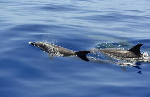 La Palmita Sunset - Foto 27