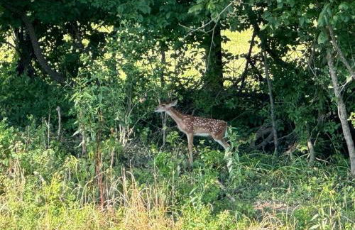 Luxury Home 4B, 3B Sleeps 18 25min to Nashville - Foto 29