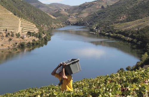 Quinta da Casa Cimeira, Guest House, Wines & Food - Foto 80