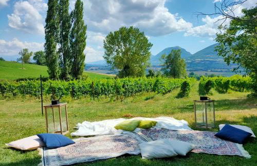 Villa Collepere Country House - Foto 11