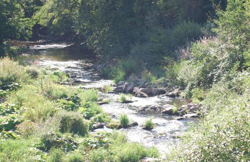 Alte Schule Gästehaus - The principal's rooms Appartment - Foto 6