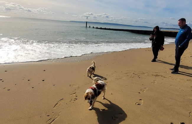 New Forest 2-bed Premium Holiday Home, New Milton - Foto 29