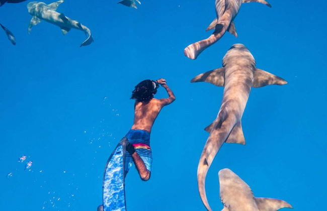 Alquiler de barco con patrón en Maafushi - Foto 8