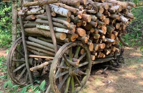 Dom z linią brzegową Narwi - Photo 58