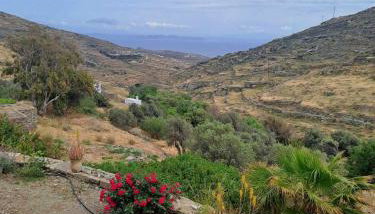 SunHouse - Foto 2, Garden