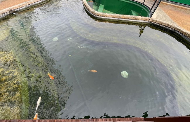 8 Boulevard Mactan Newtown - Photo 16