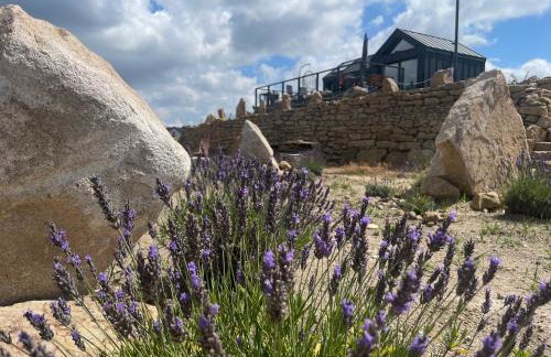 Moon Hill's Lord - Foto 22