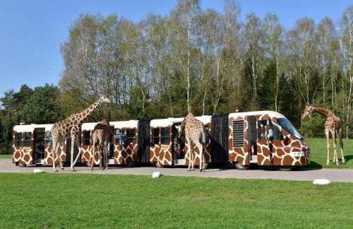 Luxuszelt im Serengeti Park - Photo 17