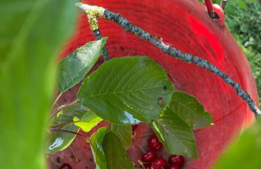 Villa Venti - Craft Wine & Hospitality - Foto 61