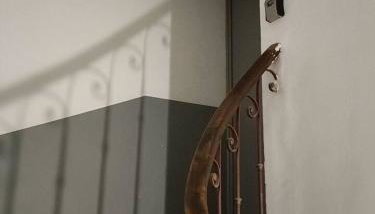 Appartement en Provence avec possibilite garage motos et velo - Foto 5