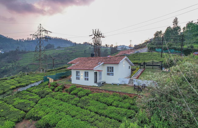 The springs Nilgiris - Foto 18