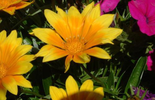 Agriturismo Pian dei Pini - Foto 40