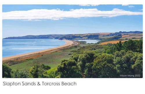 Dart Haven - cheerful holiday bungalow in Galmpton - Photo 17