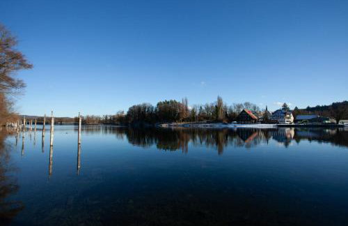 Paradiso am Hochrhein - Foto 19