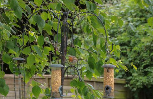 Pigsfoot Lodge - Foto 22