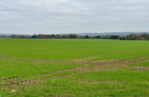 One Bed Cosy Flat Rural Location - Foto 9